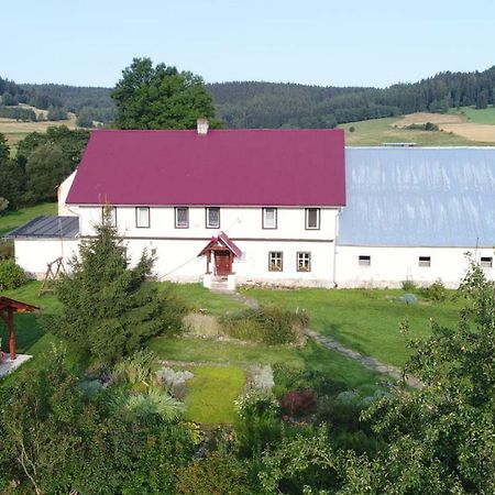 Pod Kasztanem Gospodarstwo Agroturystyczne Строне-Слёнске Экстерьер фото