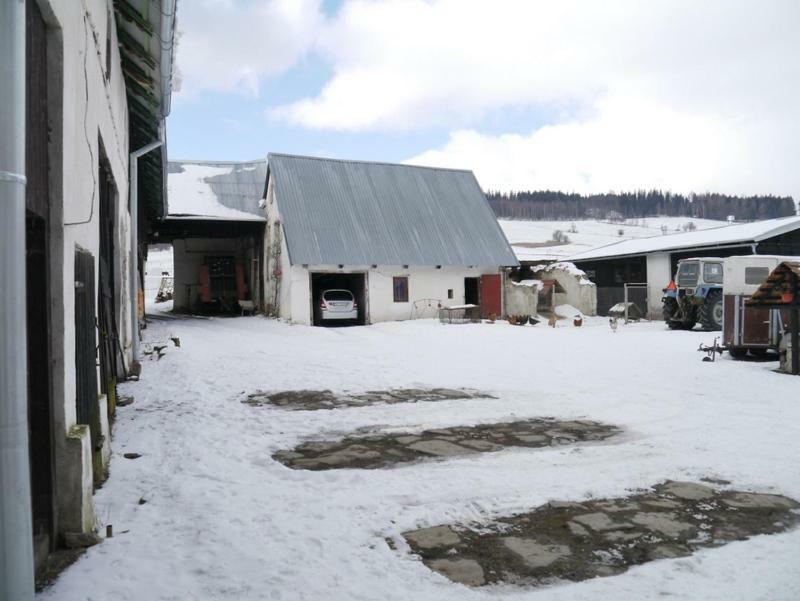 Pod Kasztanem Gospodarstwo Agroturystyczne Строне-Слёнске Экстерьер фото