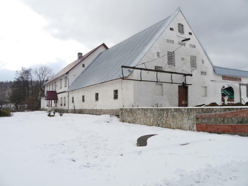 Pod Kasztanem Gospodarstwo Agroturystyczne Строне-Слёнске Экстерьер фото