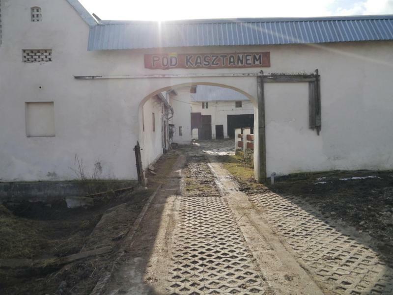 Pod Kasztanem Gospodarstwo Agroturystyczne Строне-Слёнске Экстерьер фото