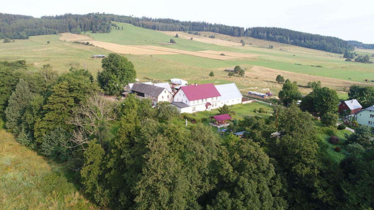Pod Kasztanem Gospodarstwo Agroturystyczne Строне-Слёнске Экстерьер фото